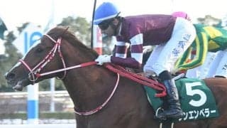 【ホープフルS・調教後馬体重】シンエンペラーは480kg、ゴンバデカーブースは484kg