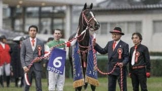 【JRA新馬戦】ミッキークイーンの半弟ニュージーズなどがデビュー