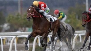 【岩手競馬】村上忍騎手が地方通算4000勝…「怪我がないように乗っていければ」