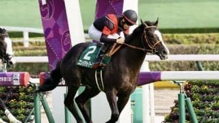 【ホープフルS】出走馬の調教後の馬体重