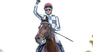 有馬記念は混戦になればなるほど売り上げ増!? ディープインパクト圧勝の年は意外にも…