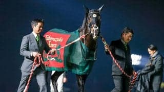 タイトルホルダーの種付料は350万円 ドゥラメンテの後継種牡馬