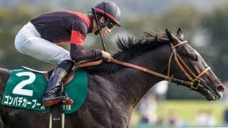 無敗戴冠でクラシックの主役となるか ホープフルSにゴンバデカーブース参戦