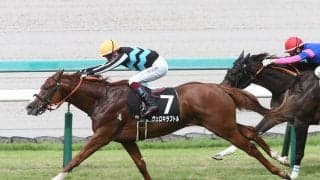 GⅠホープフルＳは、有馬記念を制したドウデュースの父・ハーツクライの血を引くスワーヴリチャード産駒に期待