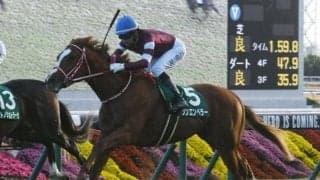 【ホープフルS予想】穴党寄りのAIもお手上げ？ 今年は堅く決まる予感