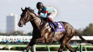 21年スプリンターズS覇者のピクシーナイトが登録抹消 今後はブリーダーズSSで種牡馬入り