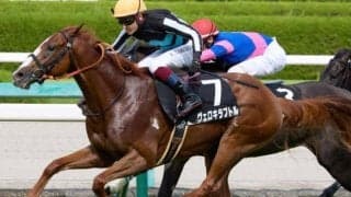 ドウデュースに続け！ 中山芝はハーツクライの血に要注目