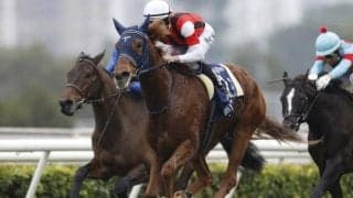 22年香港ヴァーズなど重賞4勝 ウインマリリンが抹消・繁殖入り