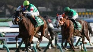 スルーセブンシーズが競走馬登録抹消