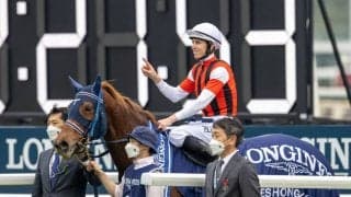 ウインマリリンが競走馬登録抹消