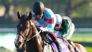 ピクシーナイトが競走馬登録抹消