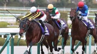 グレナディアガーズが競走馬登録抹消