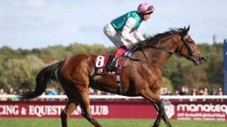 G1・11勝挙げたエネイブルの甥 世界的良血馬がダ1200mで初陣