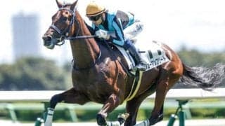 【シンザン記念想定馬・騎手】ショーマンフリート、アルトゥームなど21頭