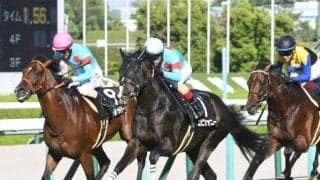 【中山金杯想定馬・騎手】エピファニー、マイネルファンロンなど24頭