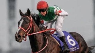 GI・4勝リスグラシューの全弟 エボルヴィングが阪神5Rで初陣