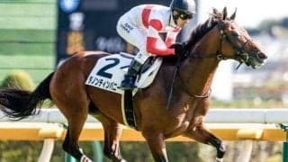 【京都金杯想定馬・騎手】ダノンティンパニー、アヴェラーレなど23頭