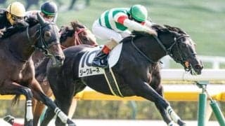 【フェアリーS想定馬・騎手】ジークルーネ、スティールブルーなど14頭