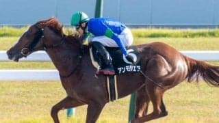 霜降り明星・粗品がホープフルSで3連単540点の大勝負！ 「今回は大穴でいきます」と計54万円分購入