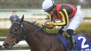 20年朝日杯FS覇者のグレナディアガーズが登録抹消 社台SSで種牡馬入り