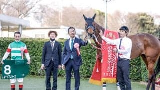 凱旋門賞4着スルーセブンシーズが抹消 今後は繁殖入り