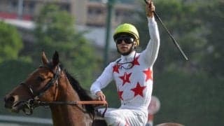 ミッキークイーンの半弟ニュージーズ C.ルメール騎手でデビュー