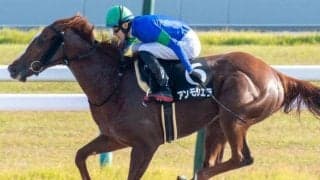 JRA所属女性騎手がGIで初対決 今村聖奈騎手VS藤田菜七子騎手