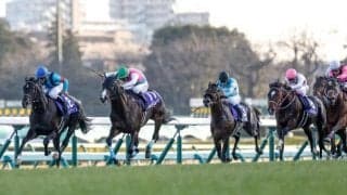 【ホープフルS予想】狙って面白いのは8番人気馬？ 過去10年データで探るホープフルS