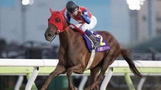 【大井・東京シンデレラマイル枠順】連覇を狙うスピーディキックは6枠11番