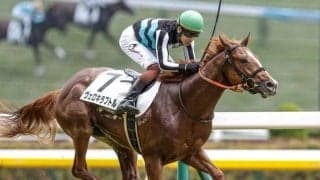 中山芝は依然として内＆前有利 ホープフルSはヴェロキラプトル＆アドミラルシップに妙味あり