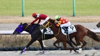 【新馬/中山6R】伏兵タッカーが逃げ切る…ミッキーロケット産駒