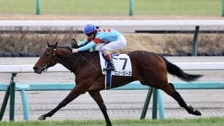 【新馬/中山5R】ミッキークイーン半弟、ニュージーズが5馬身差圧勝