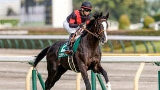 サウジアラビアRC覇者ゴンバデカーブース 感冒でホープフルSを出走取消