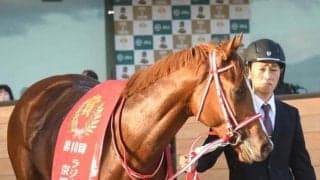 【ホープフルS・馬体重】シンエンペラーは482kg(+2)、レガレイラは454kg(-2)