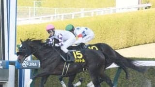 【ベテルギウスS結果】ペプチドナイルが好位から差し切ってオープン3勝目