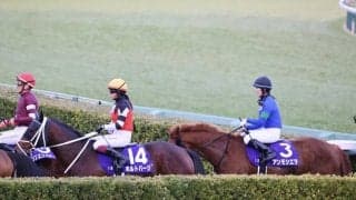 【ホープフルS】藤田菜七子、今村聖奈は着外に敗れる…史上初JRA女性騎手がG1で競演