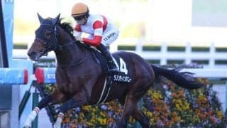 【京都金杯】ダノンティンパニー、アヴェラーレらが登録