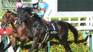 【中山金杯】エピファニー、マイネルファンロンらが登録