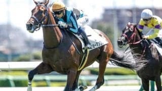 【シンザン記念】ショーマンフリート、アルトゥームらが登録