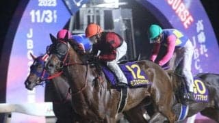 【大井・東京2歳優駿牝馬枠順】エーデルワイス賞制したモズミギカタアガリは8枠15番