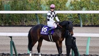 【ホープフルS】武豊「幼いところが出た」今年もG1完全制覇ならず…レース後ジョッキーコメント