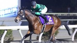 【高知・金の鞍賞】プリフロオールインが4連勝…宮川「素晴らしいものを持った馬」