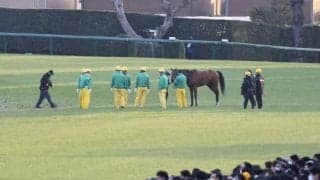 【ホープフルS】タリフラインは直線入口で競走中止…予後不良