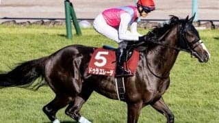 霜降り明星・粗品が東京大賞典で勝負 「今後レモンポップを脅かすのはこの馬」と自信の◎