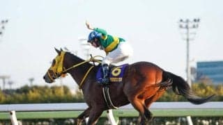 【東京大賞典注目馬】2023年最後の大一番 精鋭9頭によるダート王者決定戦