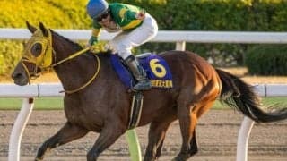 ダート界の横綱が東京大賞典連覇へ 4つ目のビッグタイトル狙う