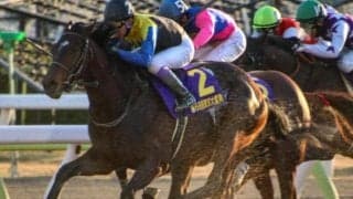 有馬記念に続いて武豊騎手が主役 東京大賞典12年ぶり6勝目狙う
