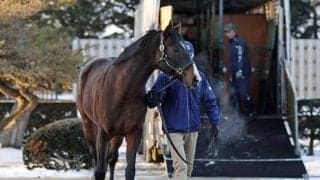 ピクシーナイトがブリーダーズSSに到着「グラスワンダーの血を再び迎え入れられて嬉しい」