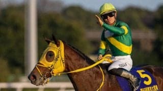 【東京大賞典】川田「とても気持ちのタフな馬」ウシュバテソーロが連覇達成
