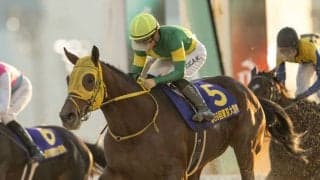 【東京大賞典】地方競馬1レースの売上レコードを記録…ウシュバテソーロ連覇
